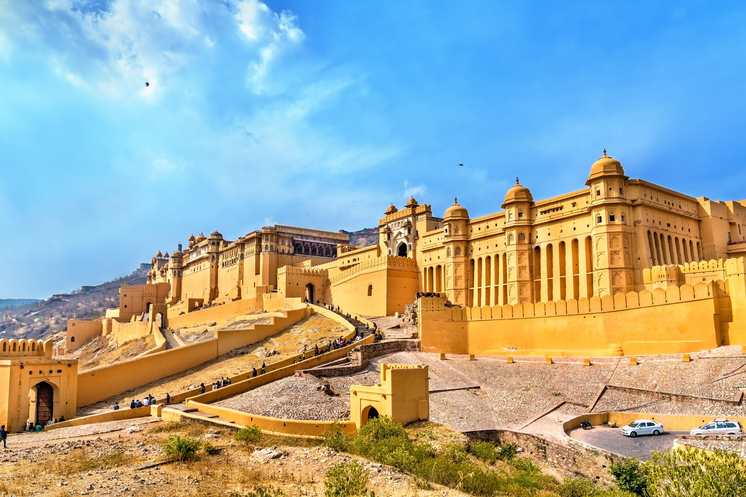 alsisar (2).webp